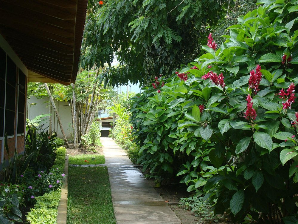 ALTA VISTA CASA HOTEL MOYOBAMBA