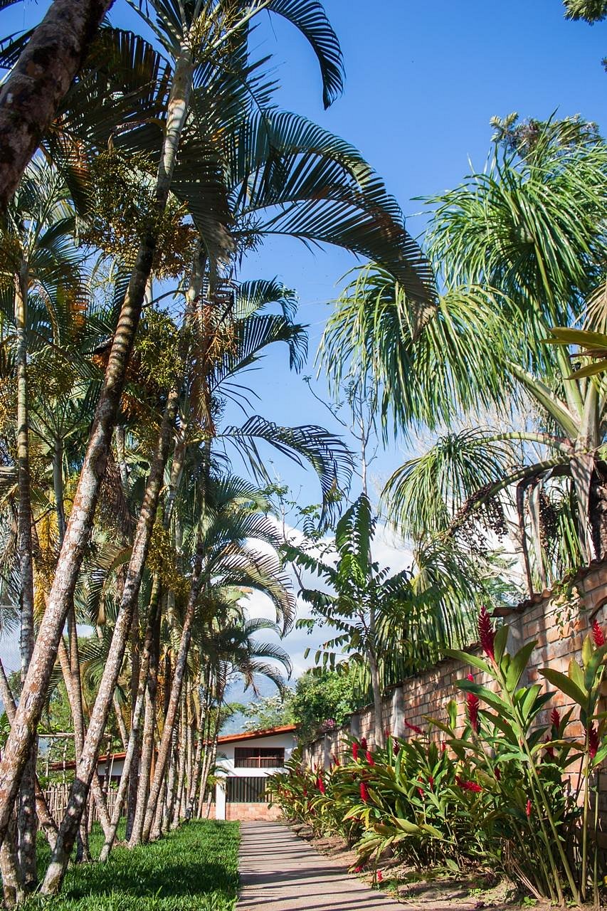 ALTA VISTA CASA HOTEL MOYOBAMBA