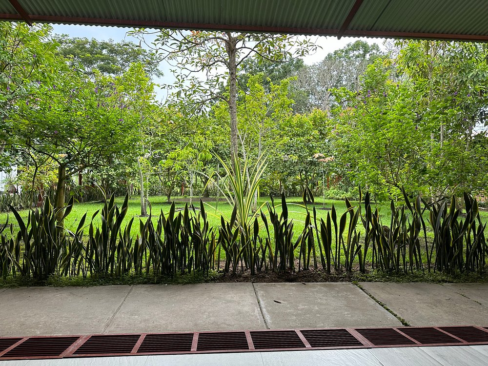 ALTA VISTA CASA HOTEL MOYOBAMBA