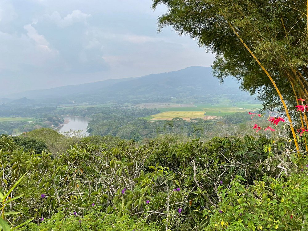 ALTA VISTA CASA HOTEL MOYOBAMBA