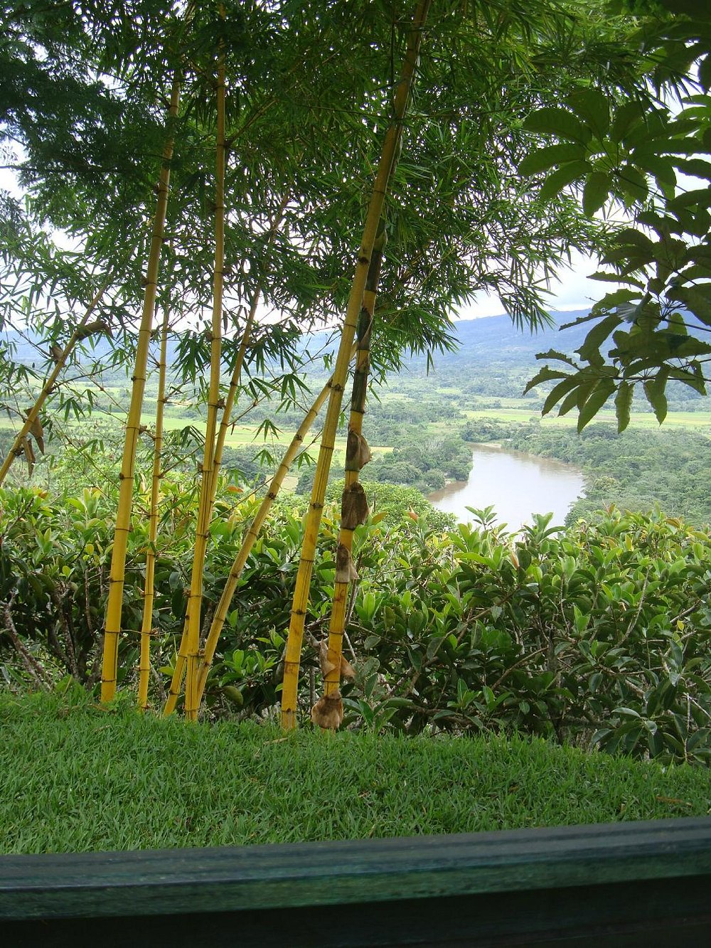 ALTA VISTA CASA HOTEL MOYOBAMBA