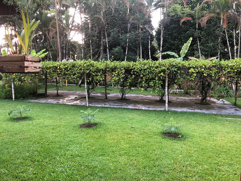 ALTA VISTA CASA HOTEL MOYOBAMBA