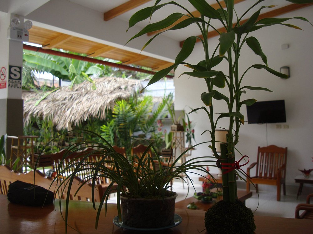 ALTA VISTA CASA HOTEL MOYOBAMBA