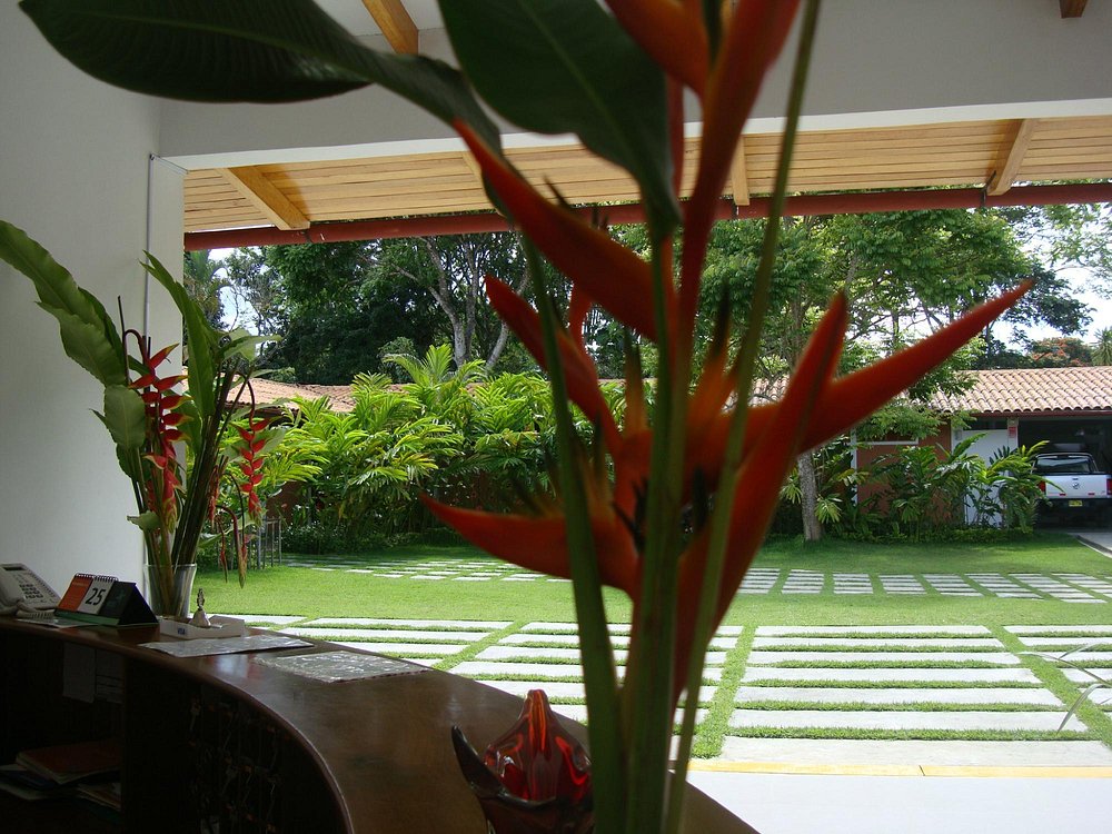 ALTA VISTA CASA HOTEL MOYOBAMBA