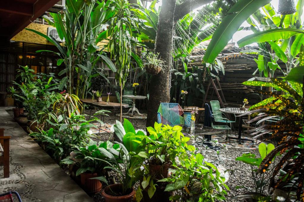 CASA DE PALOS BOUTIQUE TARAPOTO - SAN MARTIN