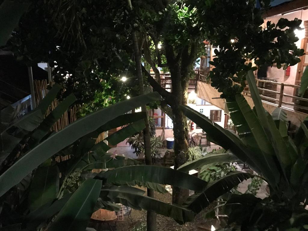 CASA DE PALOS BOUTIQUE TARAPOTO - SAN MARTIN