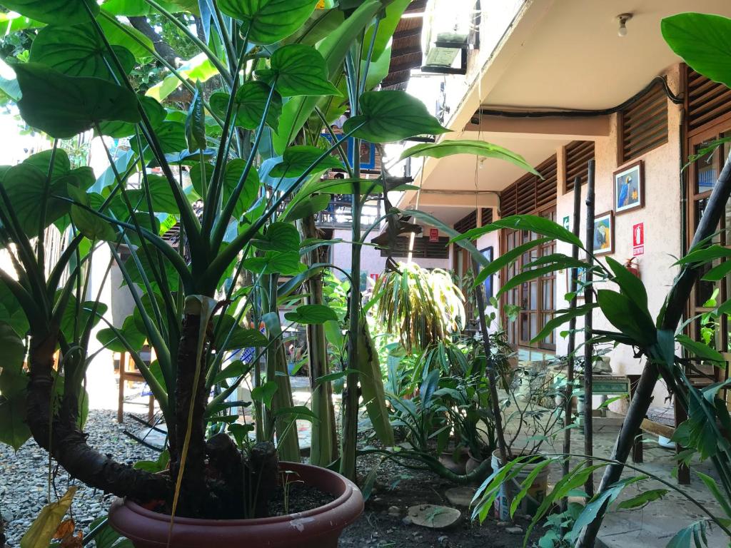 CASA DE PALOS BOUTIQUE TARAPOTO - SAN MARTIN
