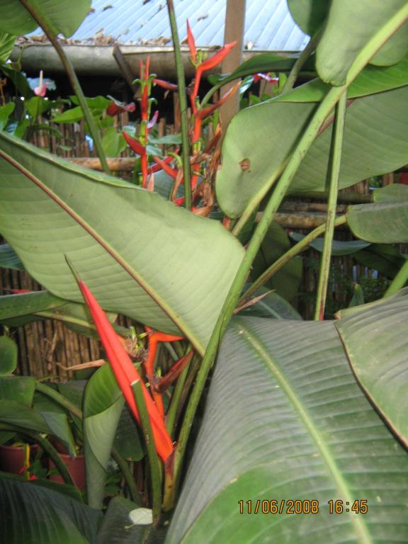 CASA DE PALOS BOUTIQUE TARAPOTO - SAN MARTIN