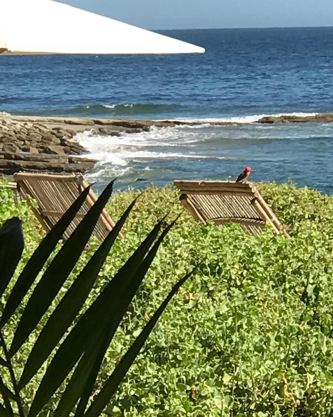 CASA DE PLAYA EL NAVEGANTE CON PISCINA PRIVADA EN PUNTA VELERO, ORGANOS