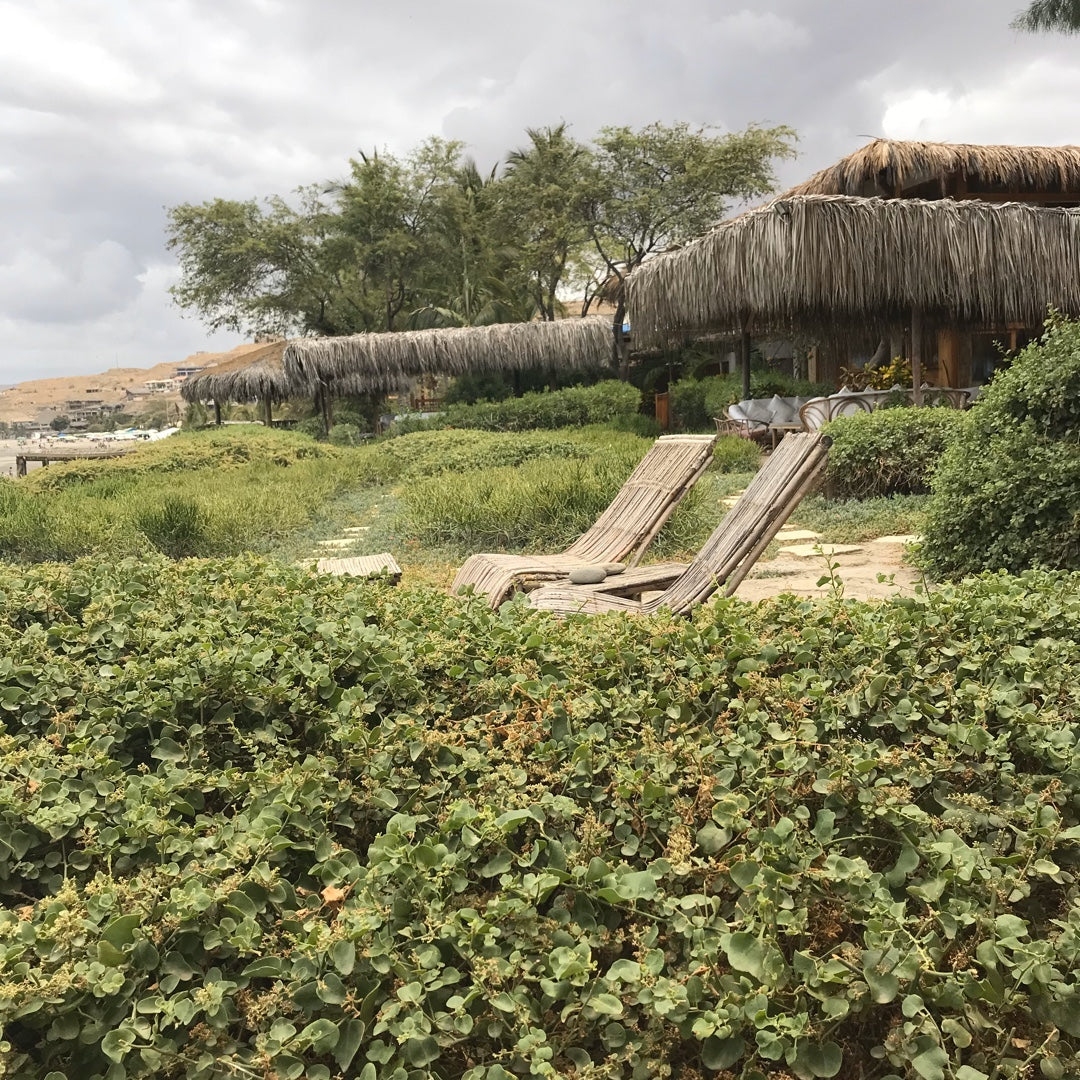 CASA DE PLAYA EL NAVEGANTE CON PISCINA PRIVADA EN PUNTA VELERO, ORGANOS