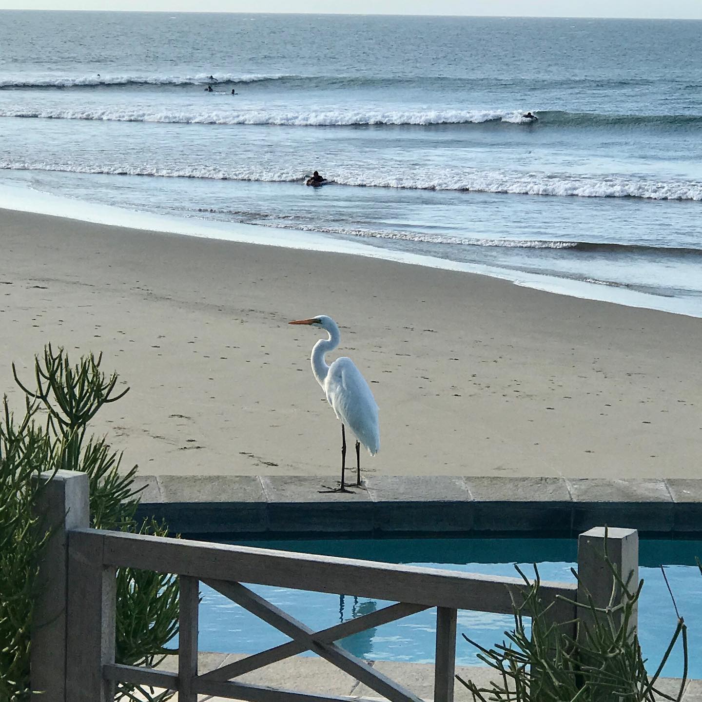 CASA DE PLAYA EL NAVEGANTE CON PISCINA PRIVADA EN PUNTA VELERO, ORGANOS