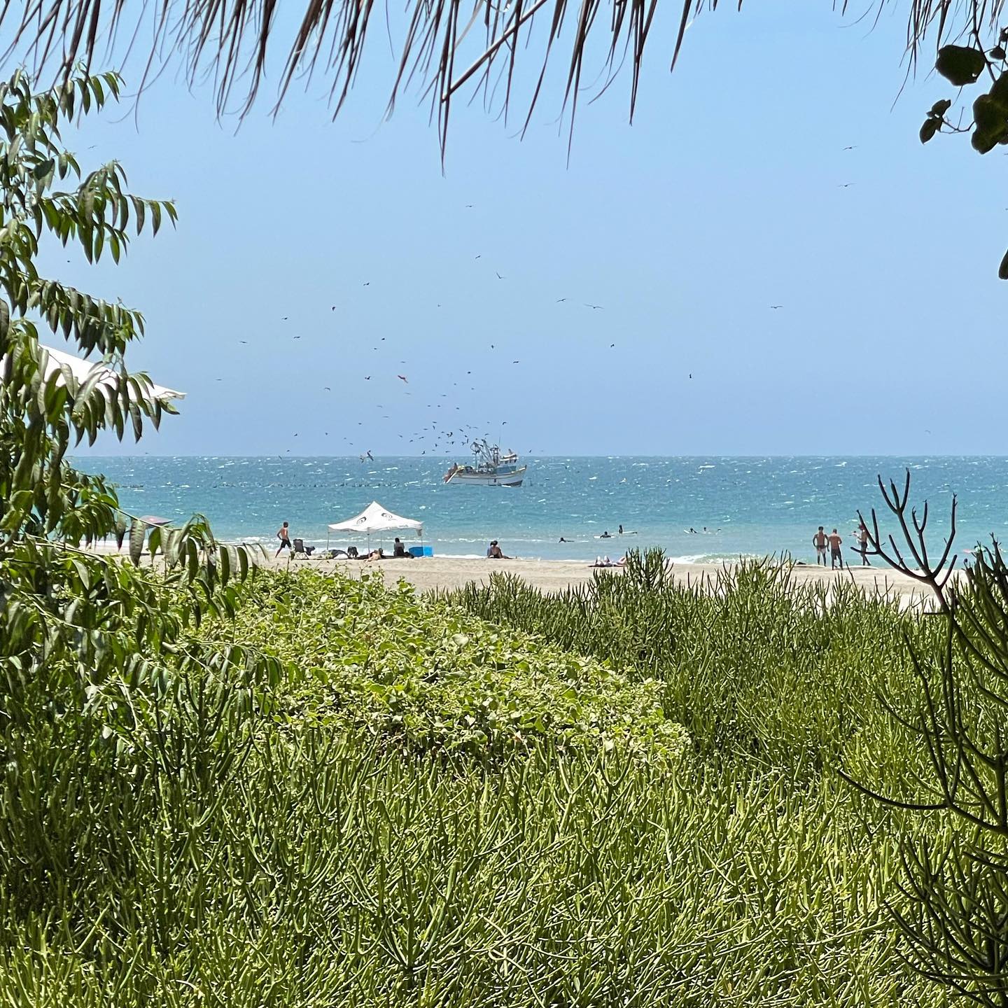 CASA DE PLAYA EL NAVEGANTE CON PISCINA PRIVADA EN PUNTA VELERO, ORGANOS