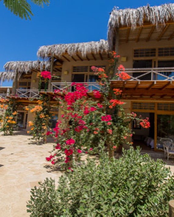 CASA DE PLAYA EL NAVEGANTE CON PISCINA PRIVADA EN PUNTA VELERO, ORGANOS