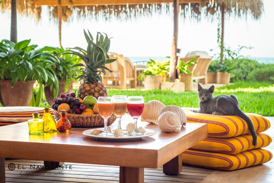 CASA DE PLAYA EL NAVEGANTE CON PISCINA PRIVADA EN PUNTA VELERO, ORGANOS