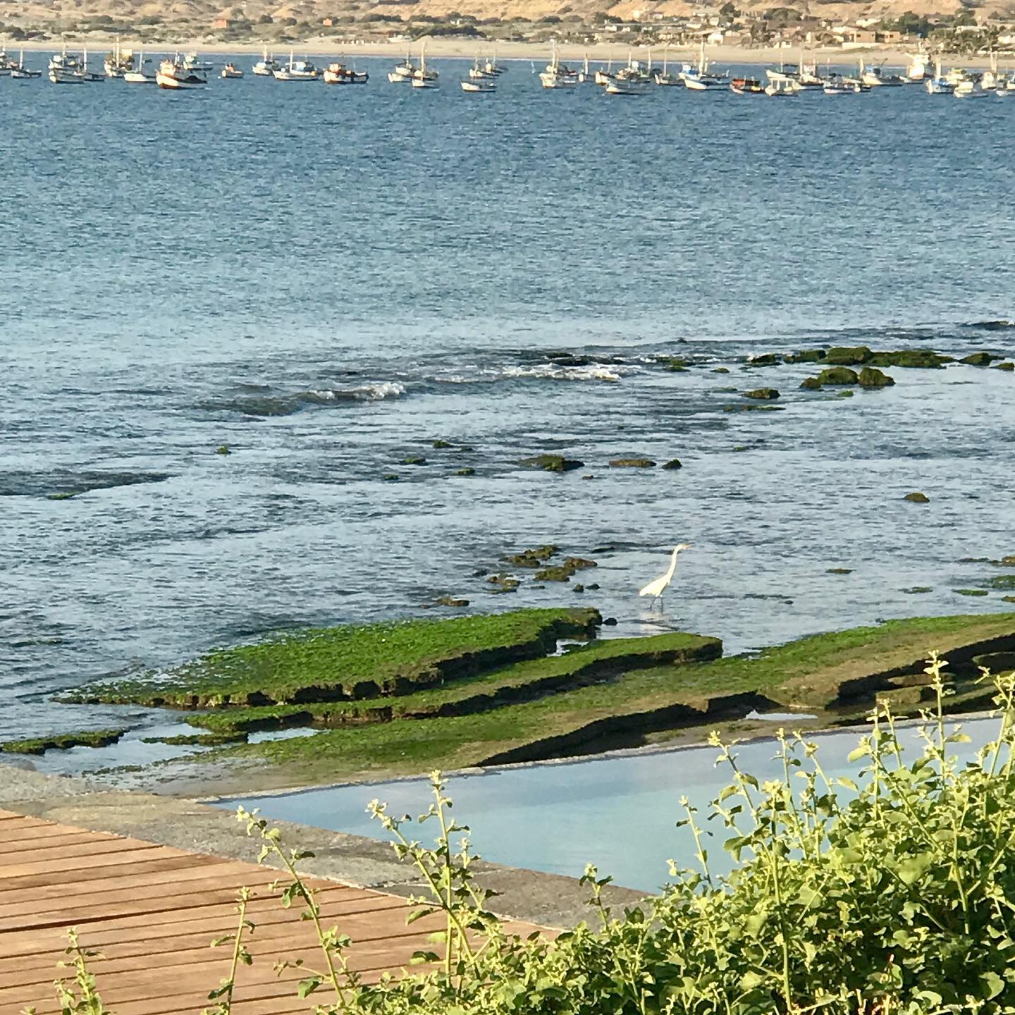 CASA DE PLAYA EL NAVEGANTE CON PISCINA PRIVADA EN PUNTA VELERO, ORGANOS