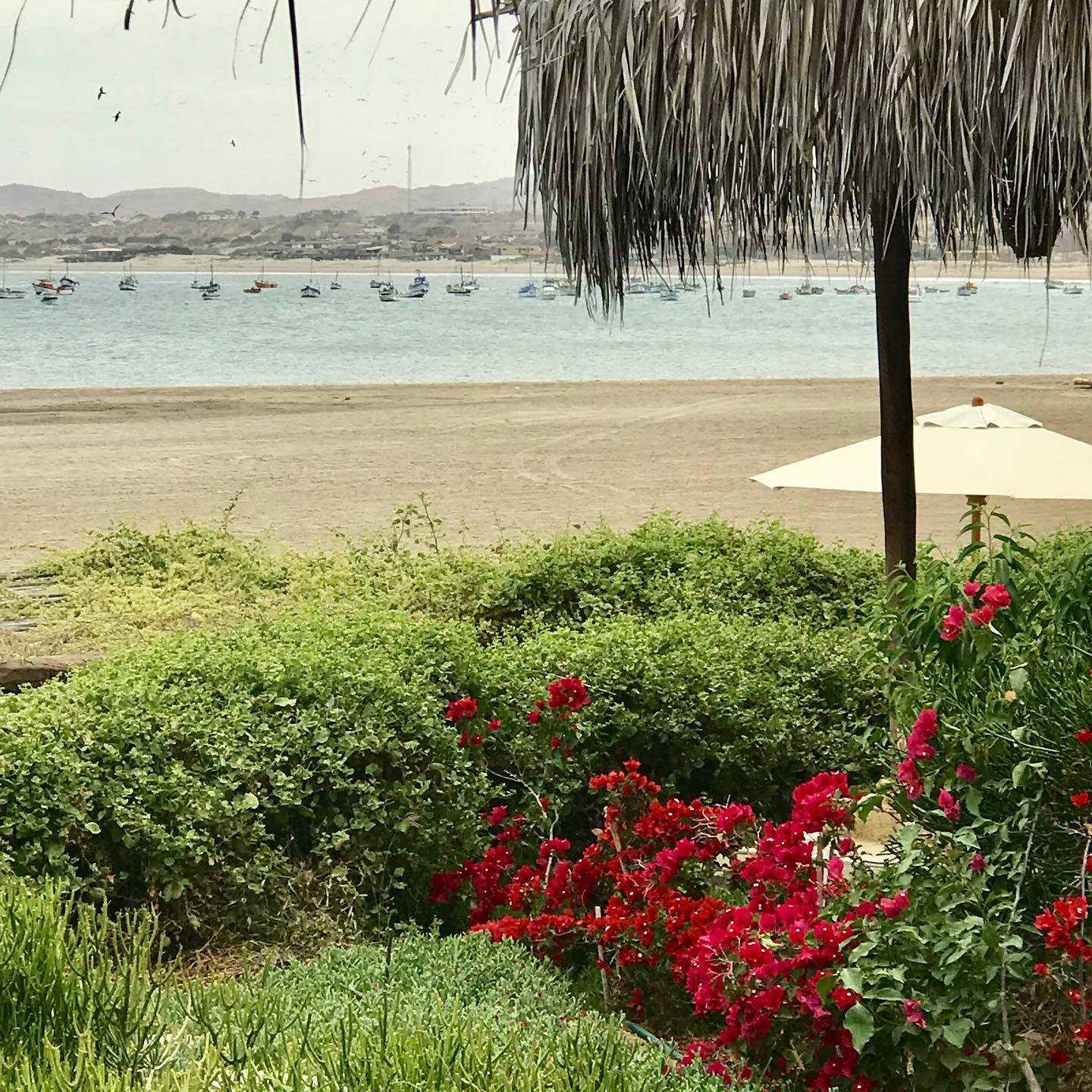 CASA DE PLAYA EL NAVEGANTE CON PISCINA PRIVADA EN PUNTA VELERO, ORGANOS
