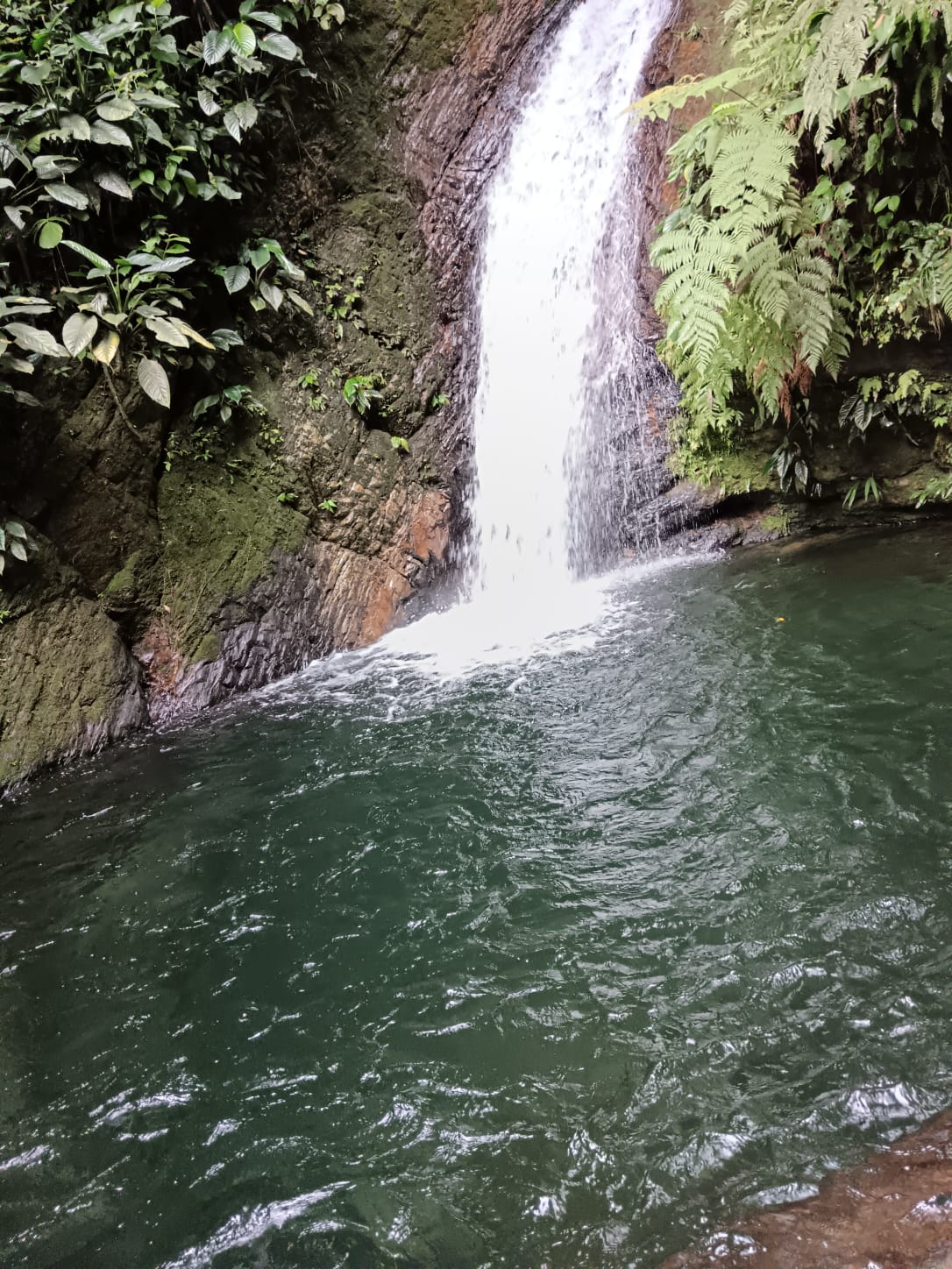FULL DAY CASCADAS EL PROGRESO