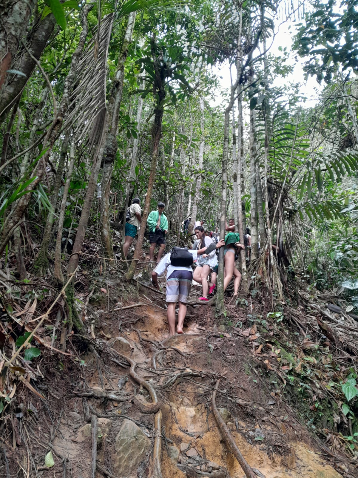 FULL DAY CASCADAS EL PROGRESO