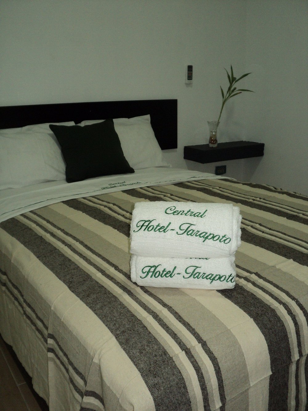 CENTRAL HOTEL TARAPOTO