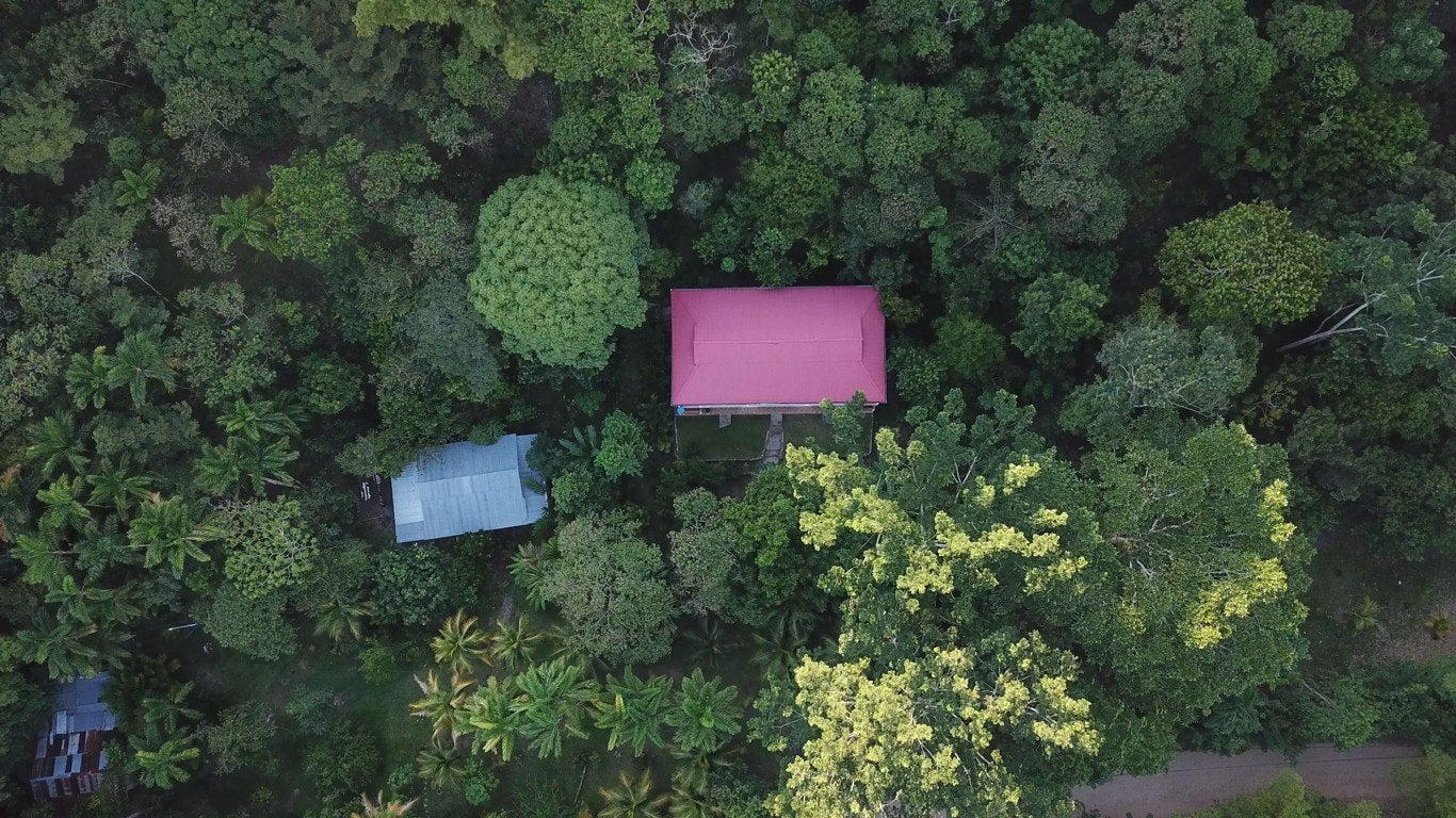 HUINGOS ECO LODGE TARAPOTO
