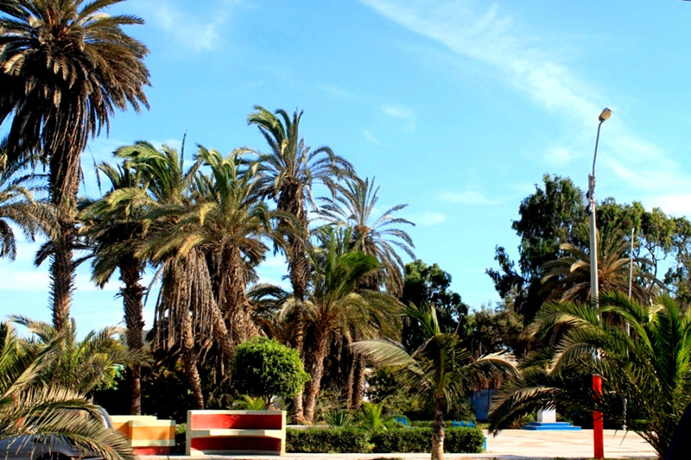 HOTEL GRAN PALMA PLAYA EL CHACO - PARACAS