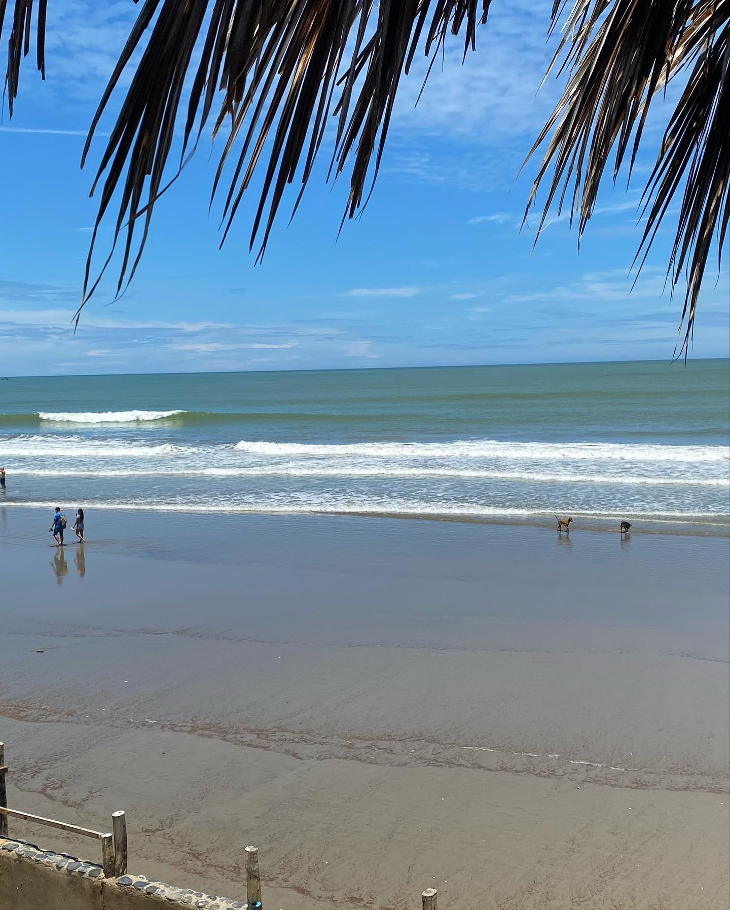 HOSPEDAJE BLUE OCEAN CON PISCINA Y RESTAURANTE VISTA AL MAR EN MANCORA