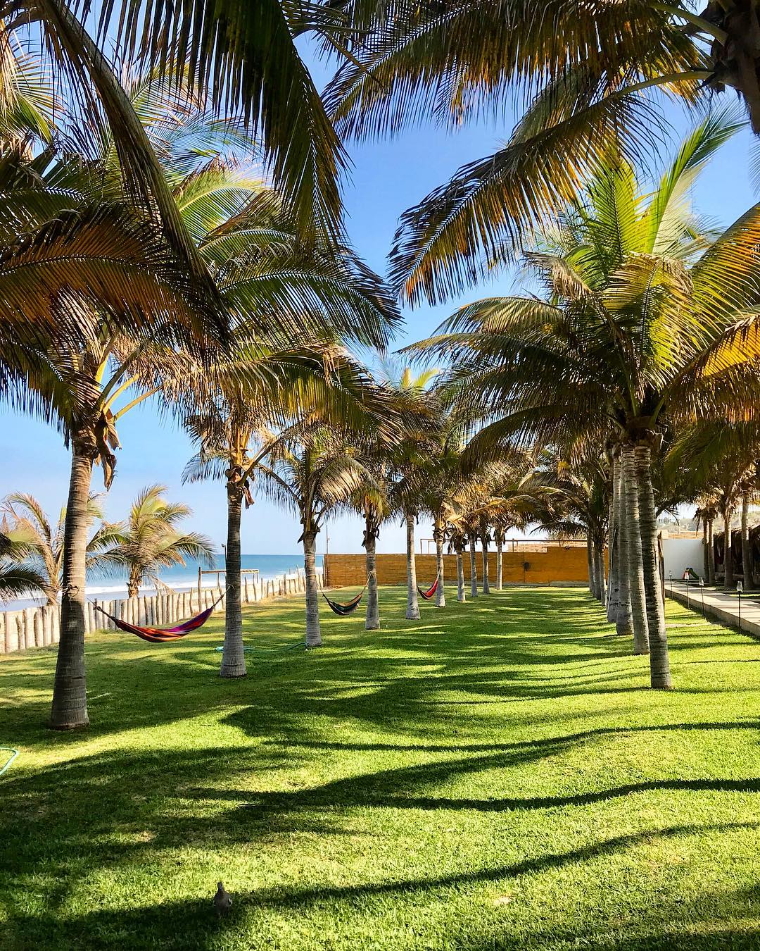 HOTEL PLAYA PALMERAS CON PISCINA Y RESTAURANTE VISTA AL MAR EN VICHAYITO