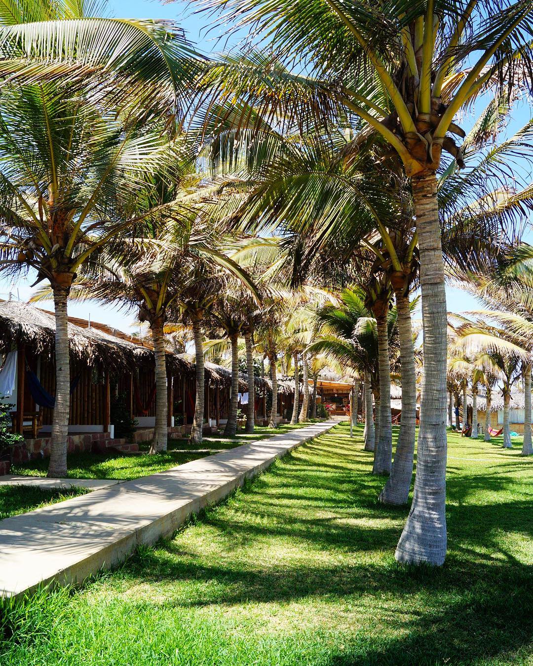 HOTEL PLAYA PALMERAS CON PISCINA Y RESTAURANTE VISTA AL MAR EN VICHAYITO