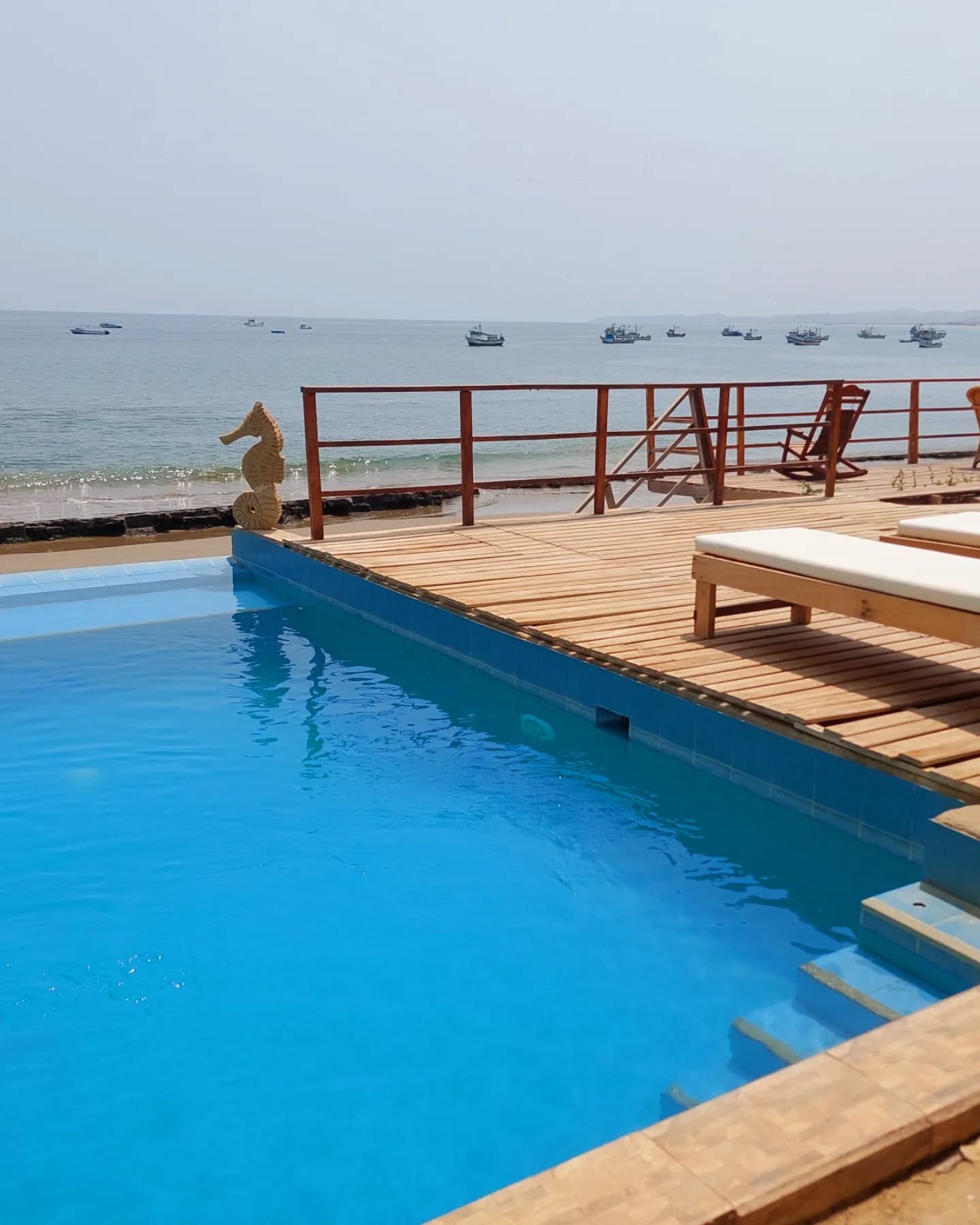 HOSPEDAJE MANCORAL CON PISCINA EN LAS POCITAS