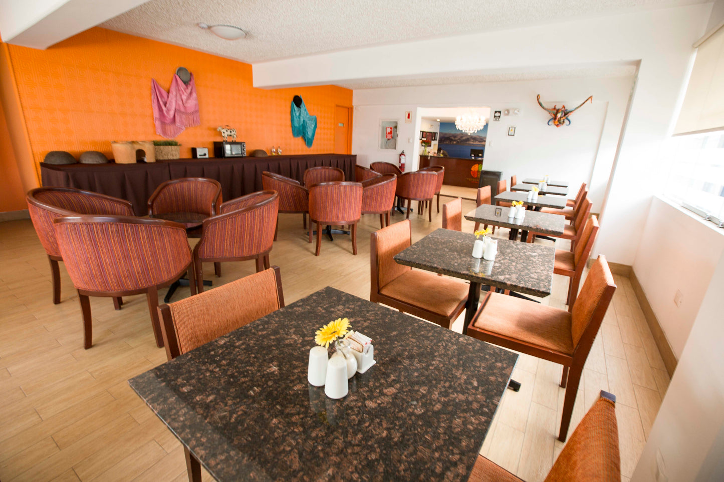 HOTEL TIERRA VIVA PUNO PLAZA