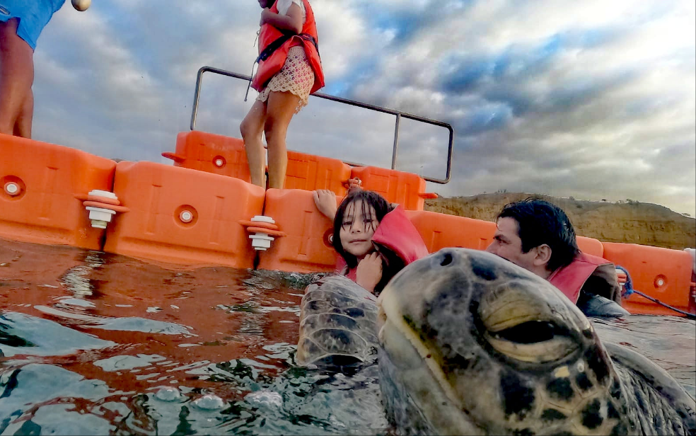 PAQ ESPADA A 5 MINUTOS DEL MAR EN MÁNCORA ~ Desde