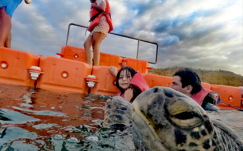 PAQ ESPADA A 5 MINUTOS DEL MAR EN MÁNCORA ~ Desde