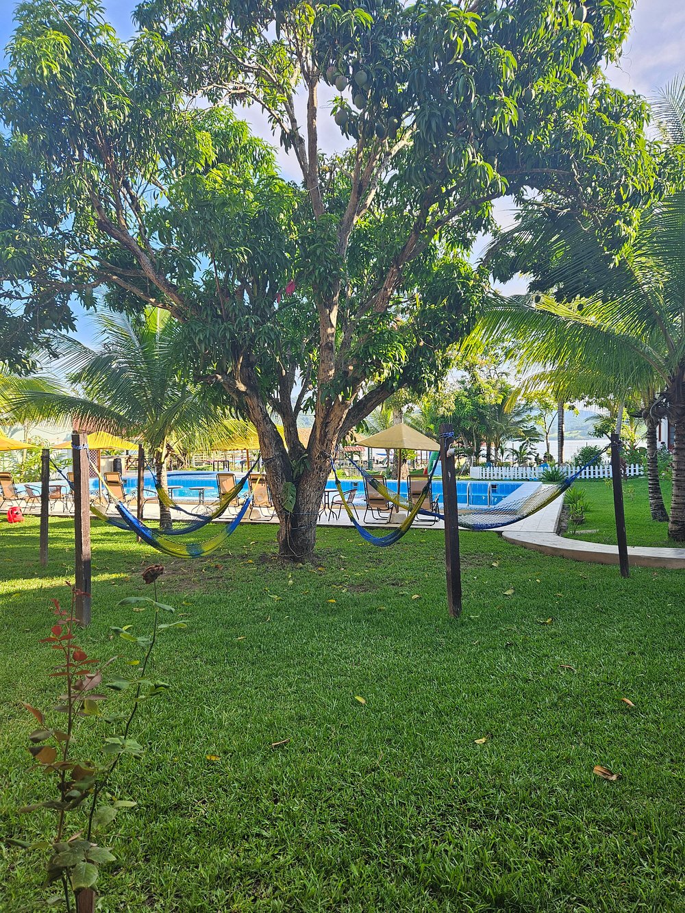 HOTEL LAGUNA AZUL Y SUITES SAUCE