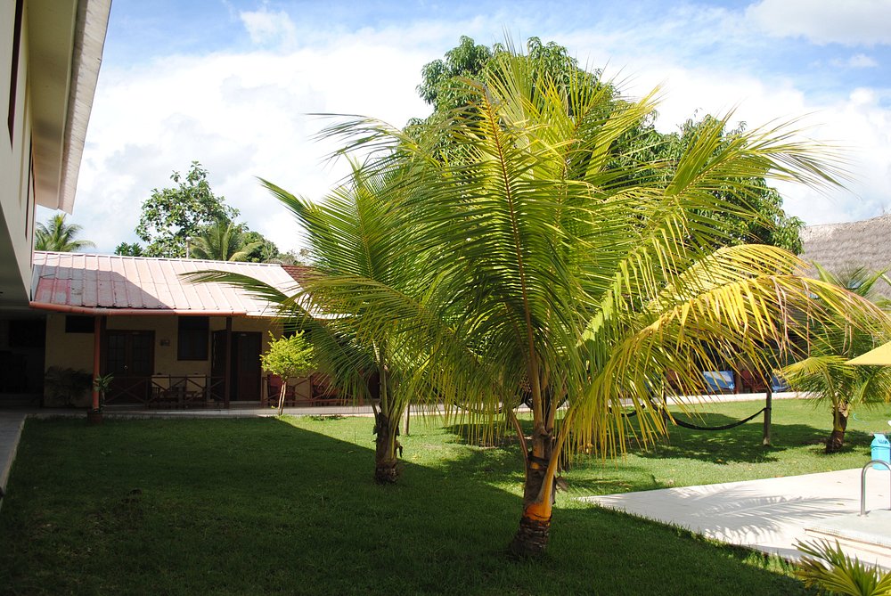 HOTEL LAGUNA AZUL Y SUITES SAUCE