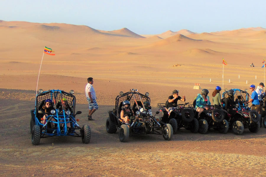 TOUR MINIBUGGY A LA RESERVA NACIONAL DE PARACAS