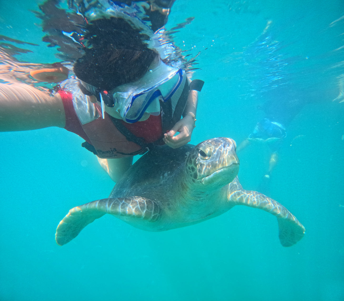 SWIM WITH TURTLES WITH COASTAL RIDE AND CEVICHE ON BOARD IN SLIDER