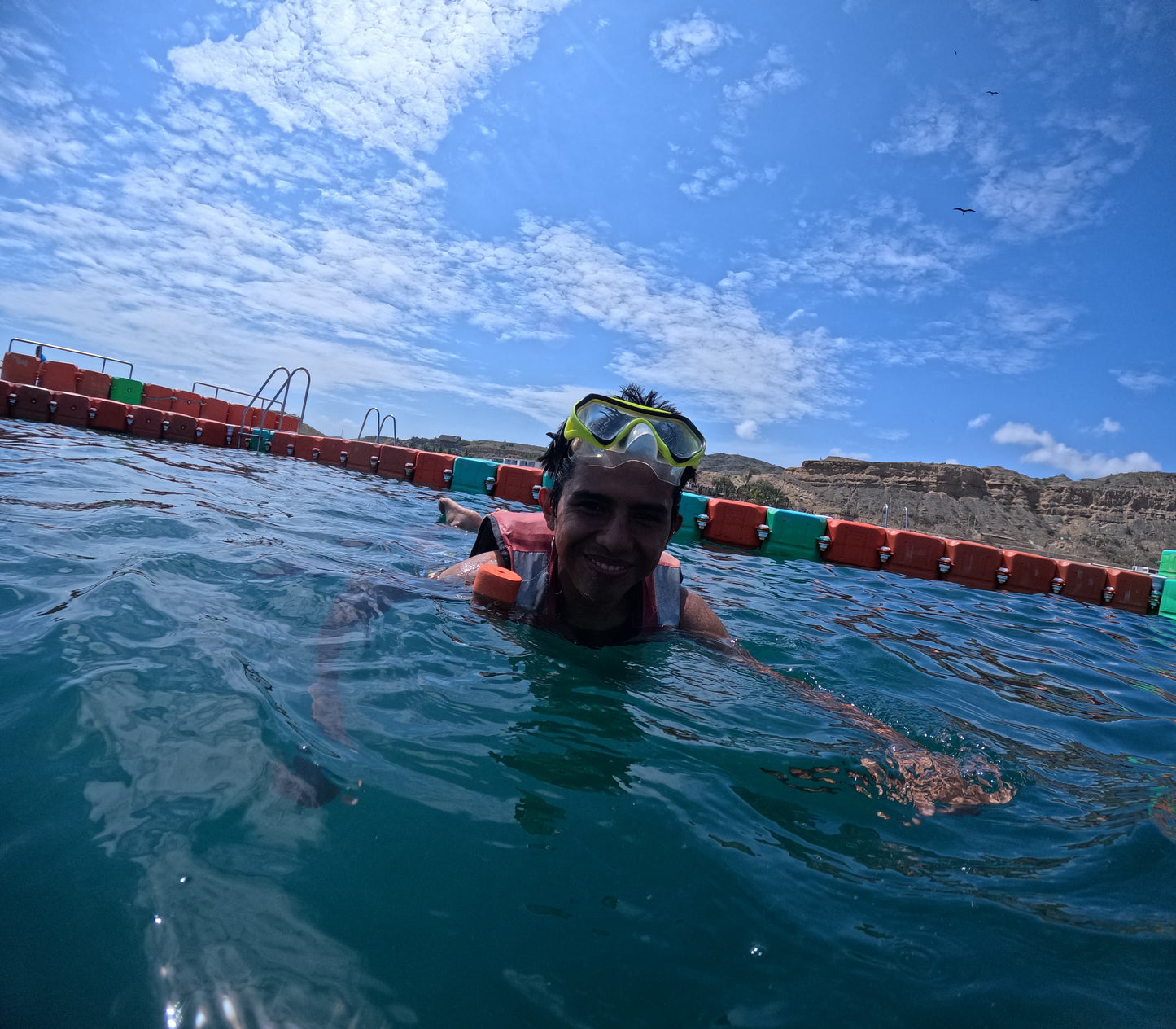 SWIMMING WITH TURTLES WITH TRANSFER ON A BANANA