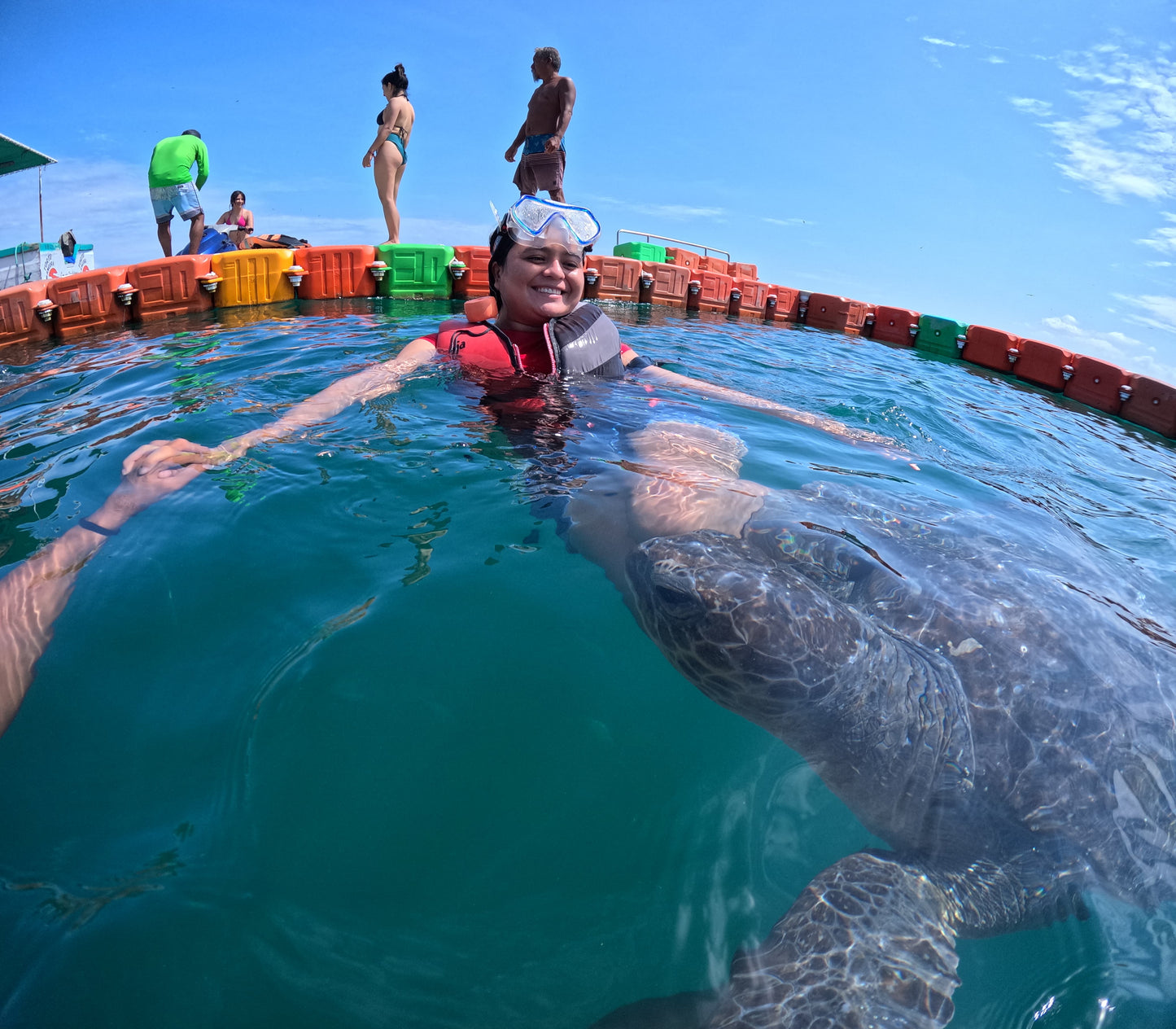 SWIMMING WITH TURTLES WITH TRANSFER ON A BANANA