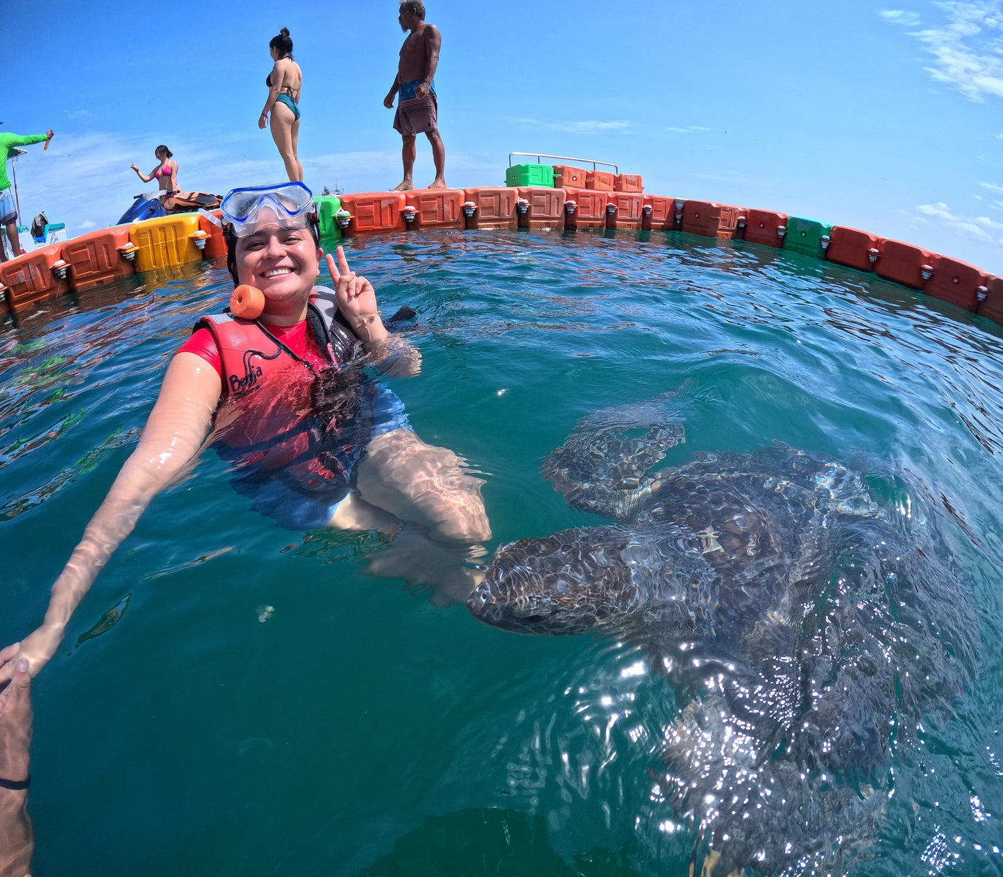 SWIMMING WITH TURTLES WITH TRANSFER ON A BANANA