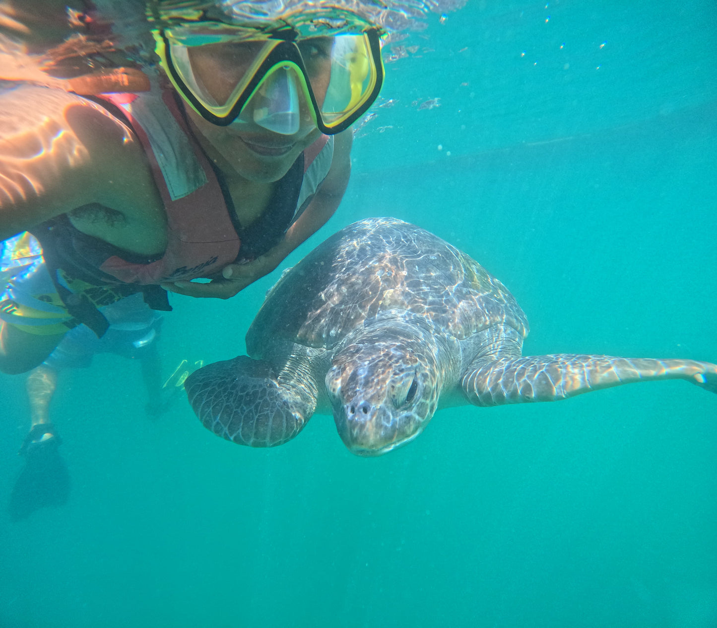 SWIM WITH TURTLES WITH COASTAL RIDE AND CEVICHE ON BOARD IN SLIDER