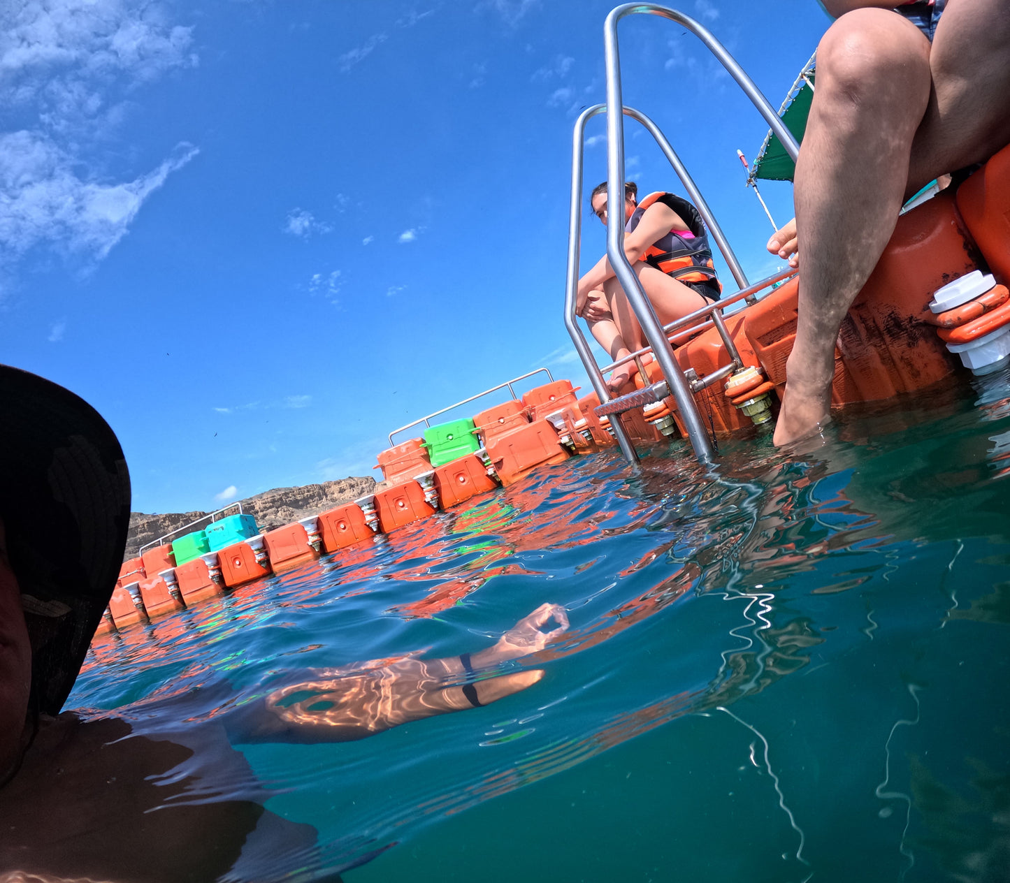 SWIMMING WITH TURTLES WITH TRANSFER ON A BANANA