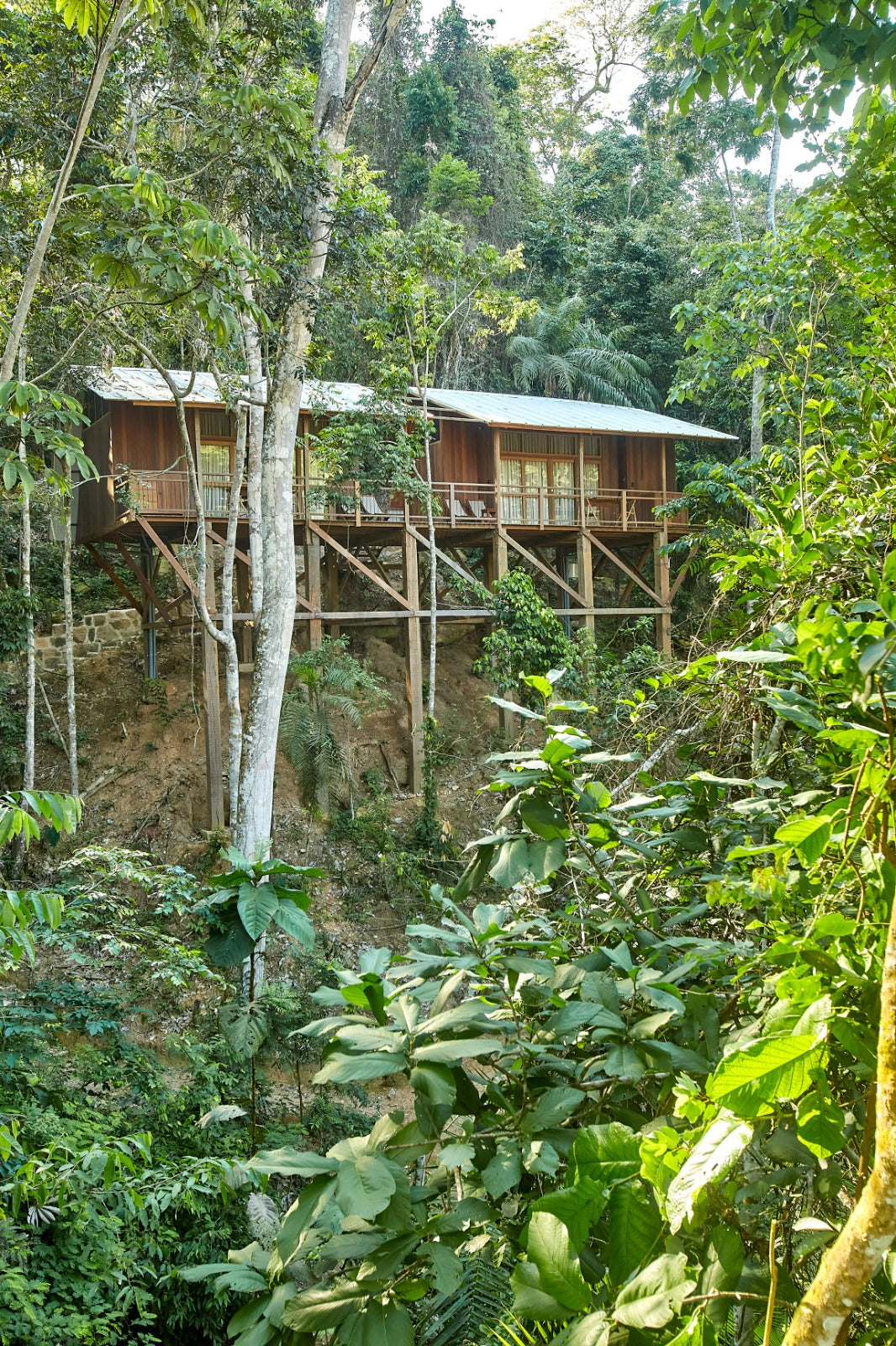 PUMARINRI AMAZON LODGE TARAPOTO - SAN MARTIN