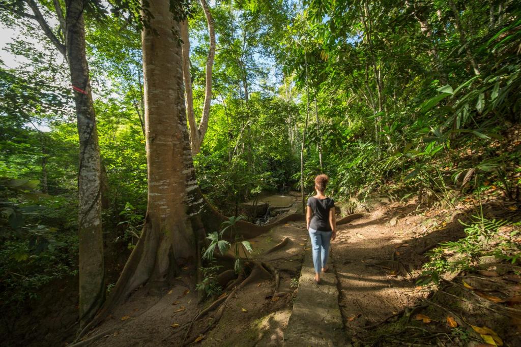 PUMARINRI AMAZON LODGE TARAPOTO - SAN MARTIN