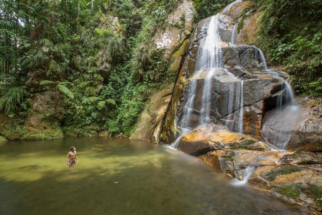PUMARINRI AMAZON LODGE TARAPOTO - SAN MARTIN
