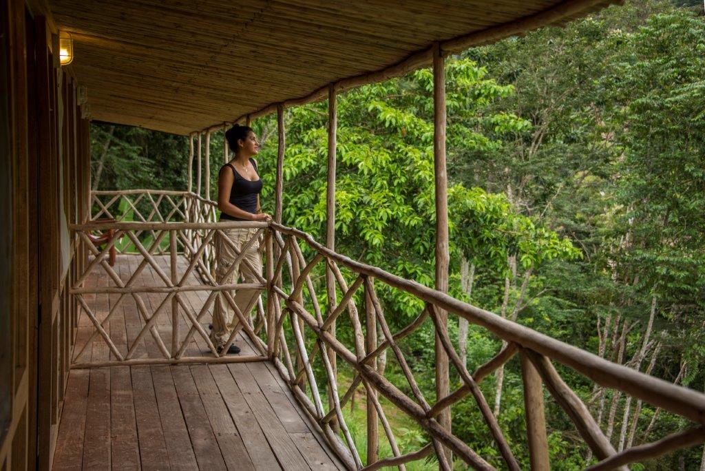 PUMARINRI AMAZON LODGE TARAPOTO - SAN MARTIN