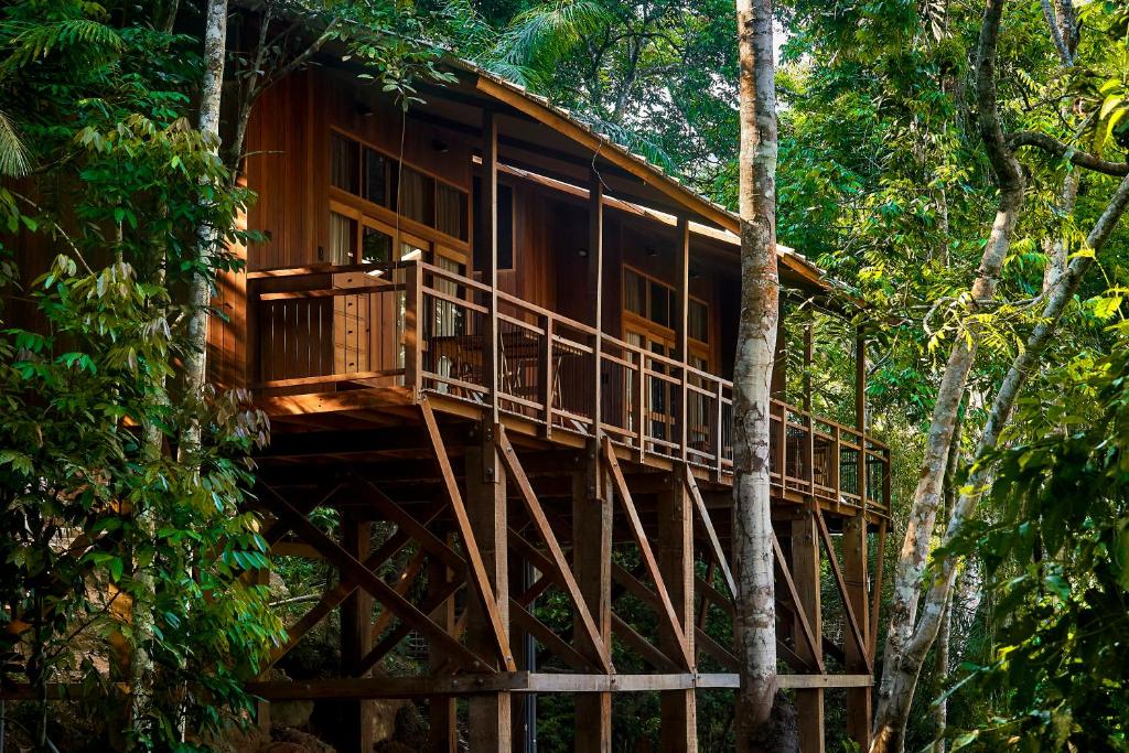 PUMARINRI AMAZON LODGE TARAPOTO - SAN MARTIN
