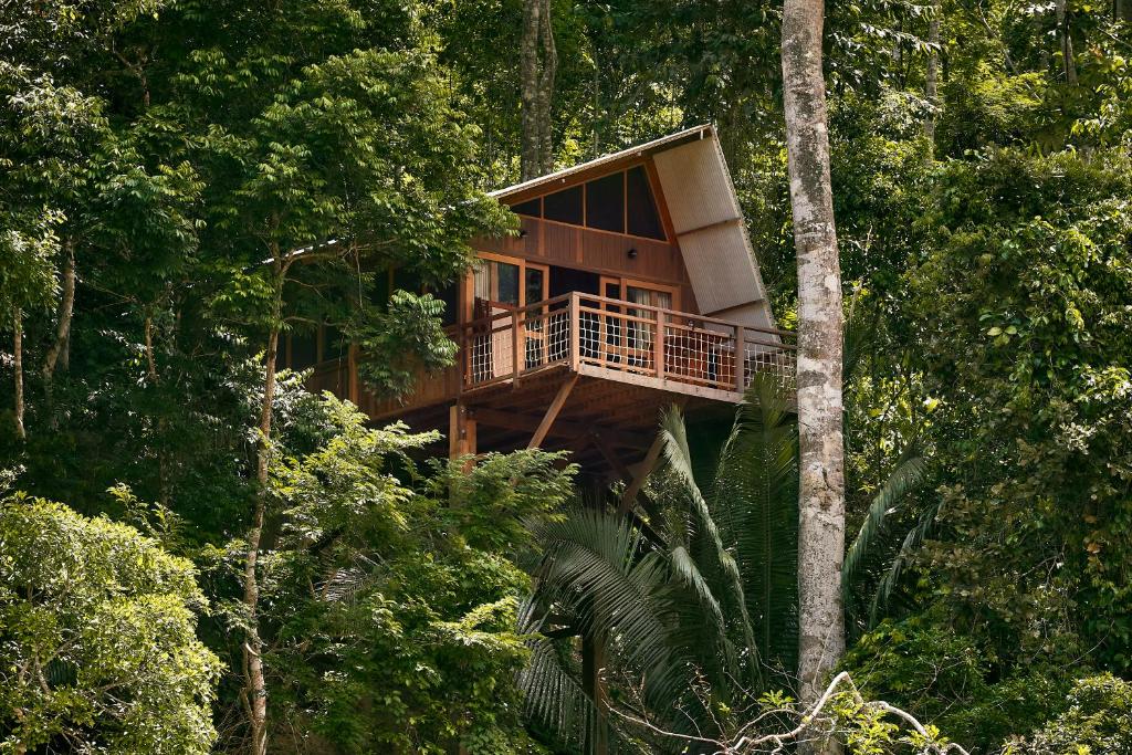 PUMARINRI AMAZON LODGE TARAPOTO - SAN MARTIN