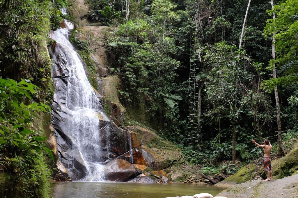 PUMARINRI AMAZON LODGE TARAPOTO - SAN MARTIN
