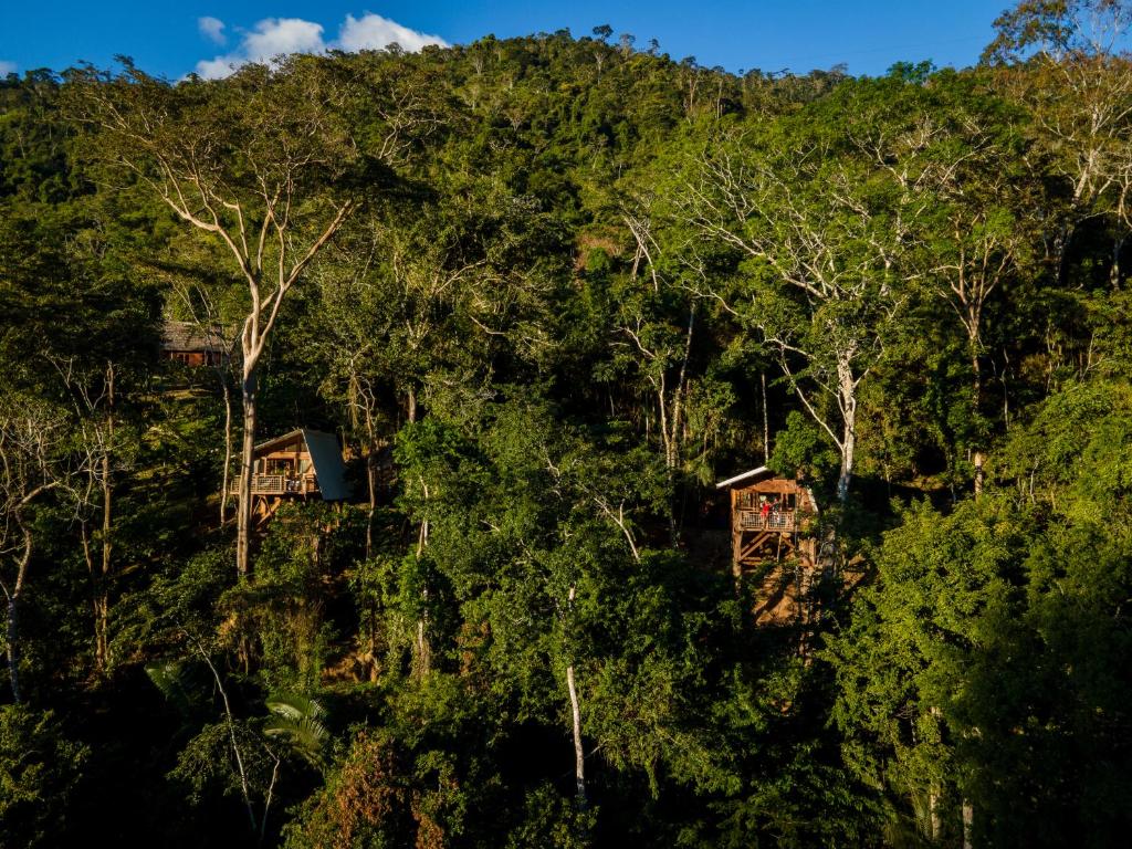 PUMARINRI AMAZON LODGE TARAPOTO - SAN MARTIN