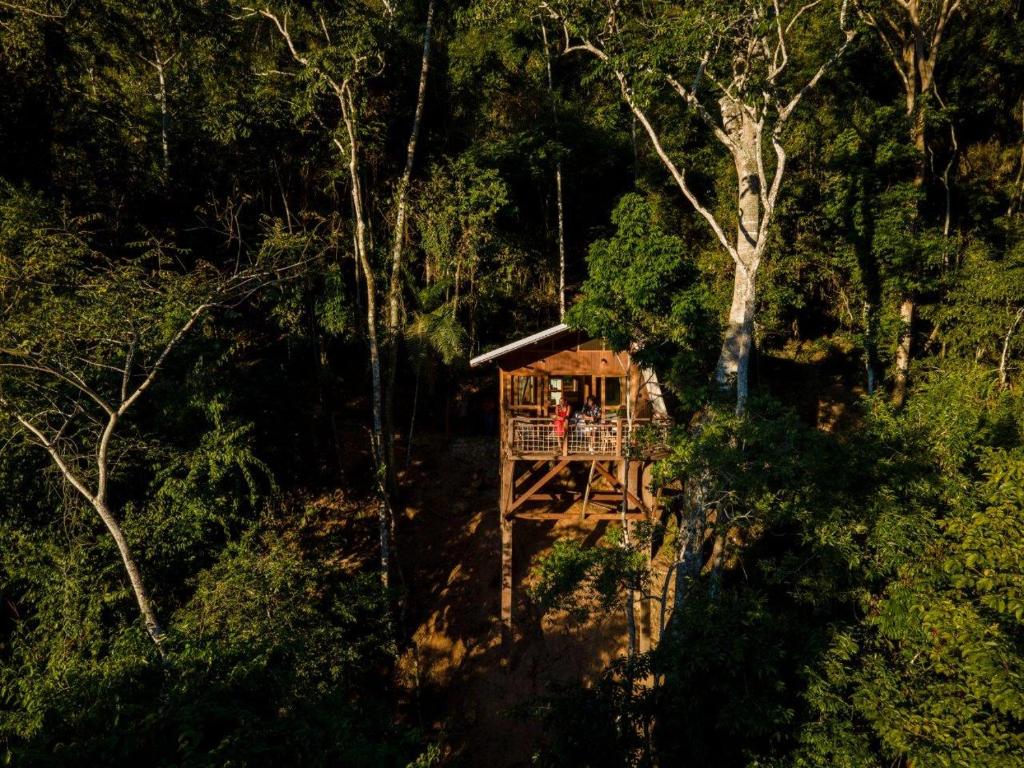 PUMARINRI AMAZON LODGE TARAPOTO - SAN MARTIN